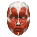 MuscleDataBase app for tracking fitness progress using coredata